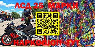 прущие грибы Бийск