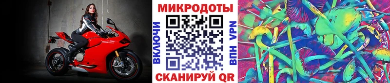 Псилоцибиновые грибы Cubensis  Воркута 