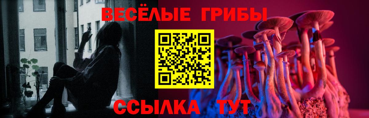 Галлюциногенные грибы Cubensis Воркута